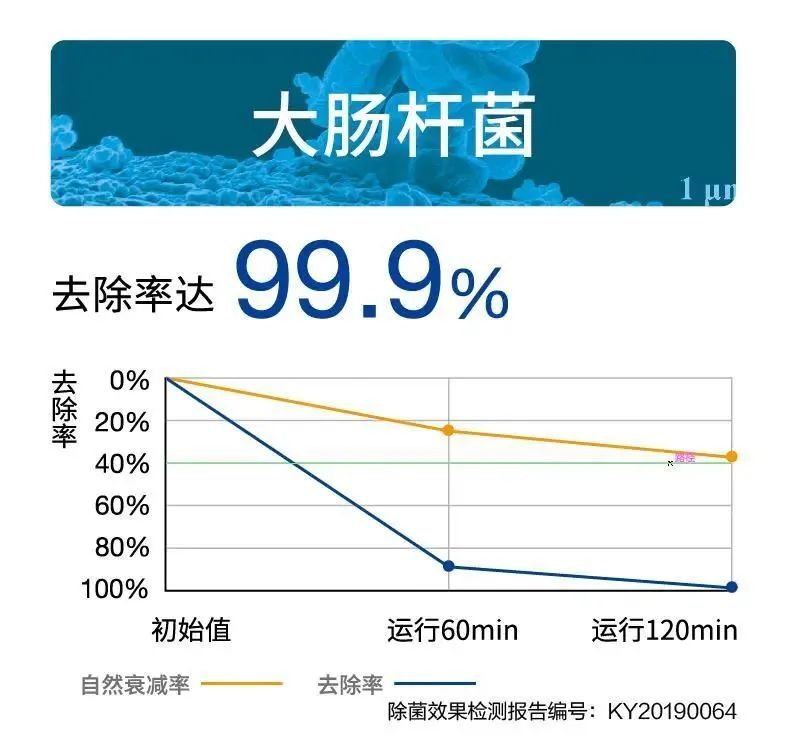 香港十二生肖买马图