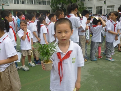 香港十二生肖买马图